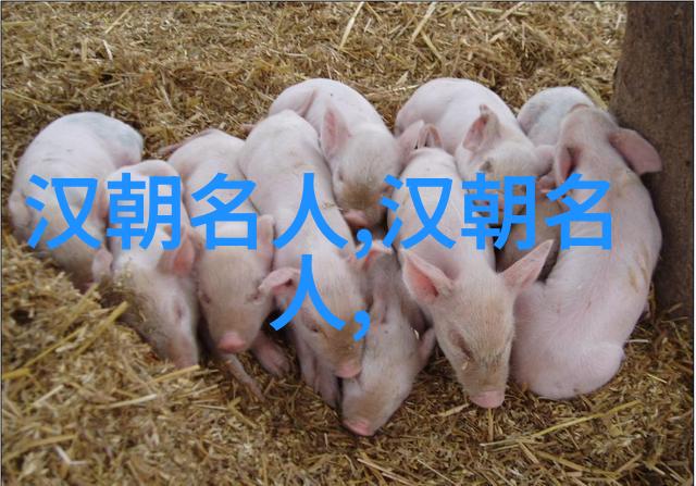 阴兴(公元9年公元47年)
