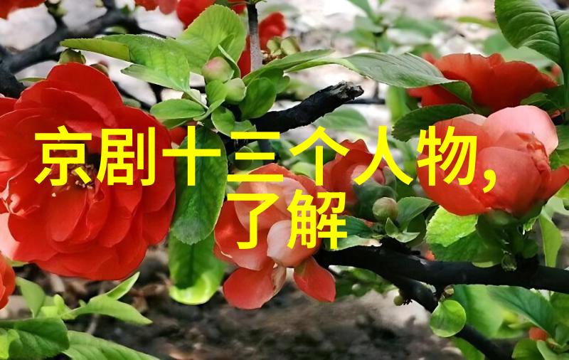 金如新 京剧票友 金如新